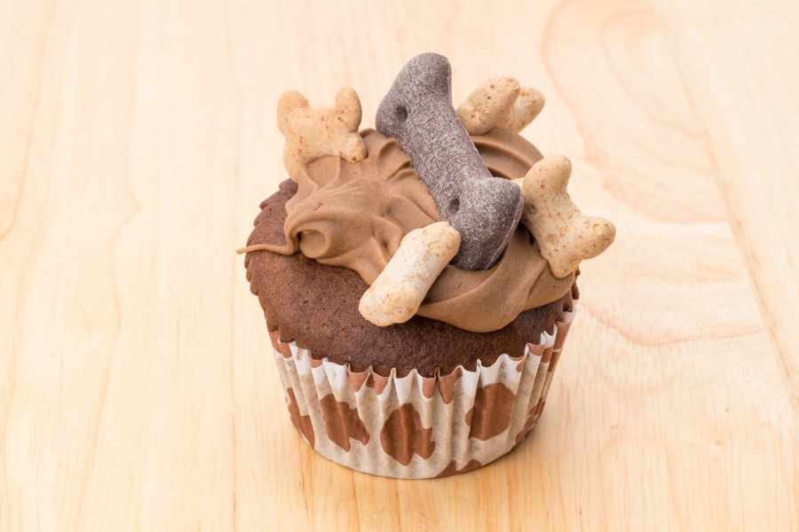 Welche Snacks wirklich gut tun – und welche nicht