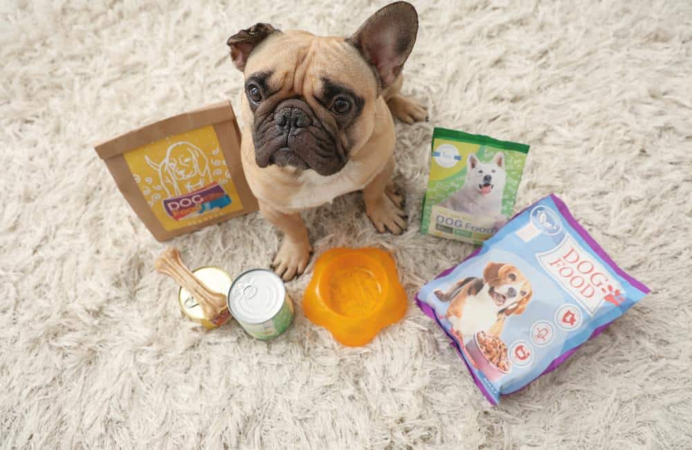 Hochwertiges Hundefutter für kleine Hunde(+ beste Marken 2025)