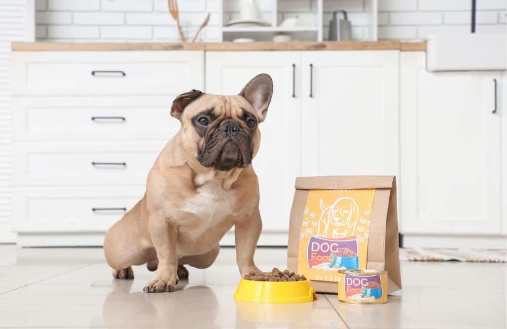 Kleiner Hund Futter Empfehlung – hochwertiges Futter für kleine Hunde