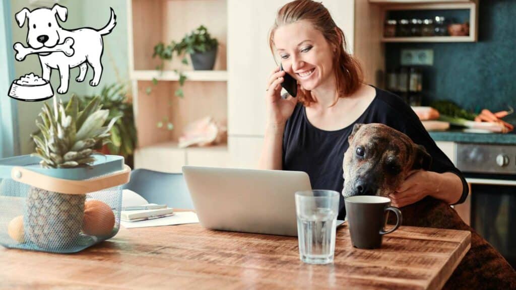 kostenloser Futtercheck für kleine Hunde