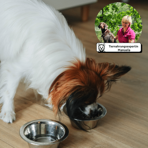 Futterberatung für kleine Hunde Manuela Franck