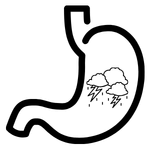 Gastritis immer ein Thema der Ernährung kleiner Hund