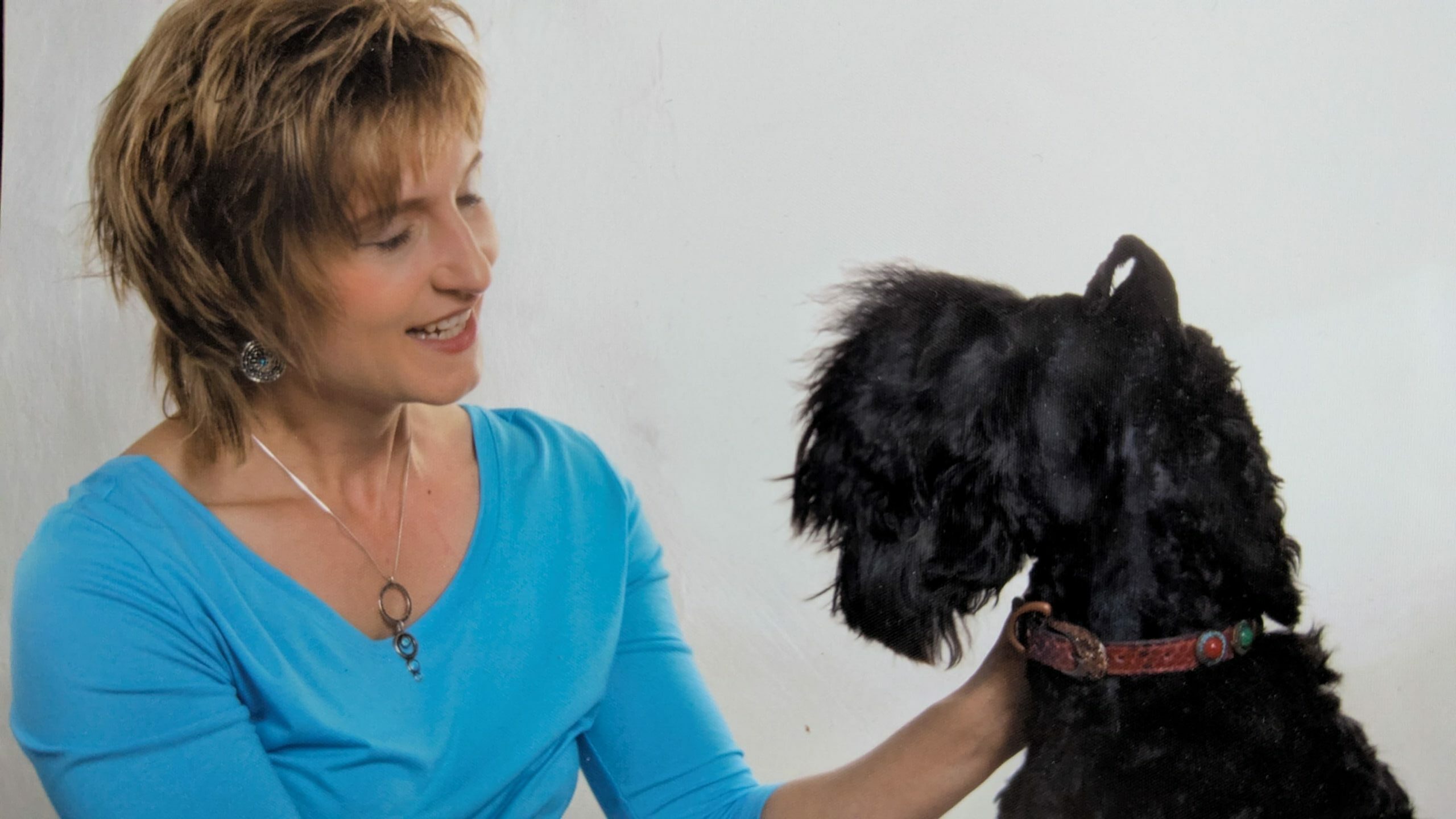 Mein Start im Hundesalon Franck 2001