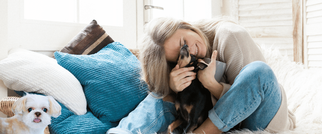Ratgeber kleine Hunde – Ernährung, Gesundheit und Pflege