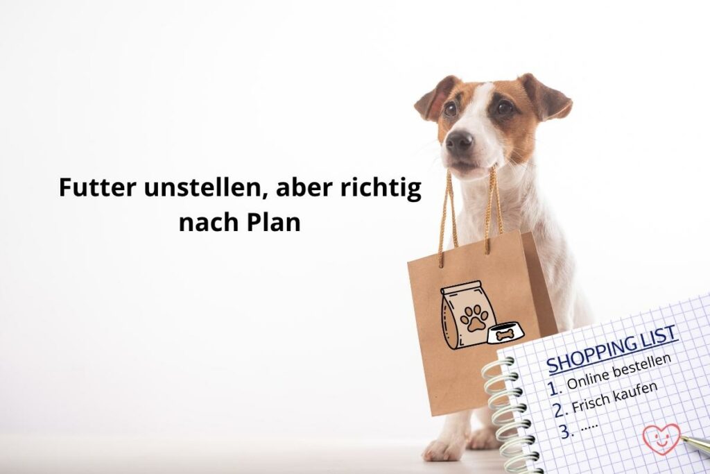 Futterumstellung beim Hund: Wie lange dauert es, wie du Durchfall vermeidest und die Futtermenge richtig berechnest