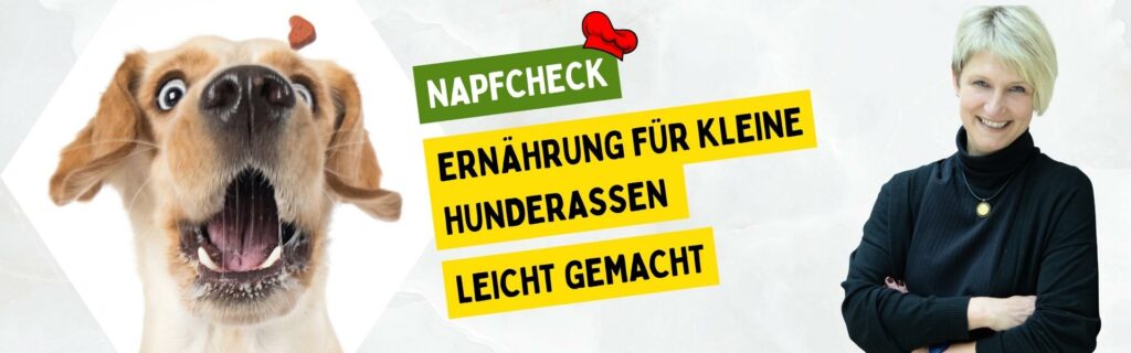 Manuela Franck 25 Jahre Hundeexpertise zur Ernährung kleiner Hunde