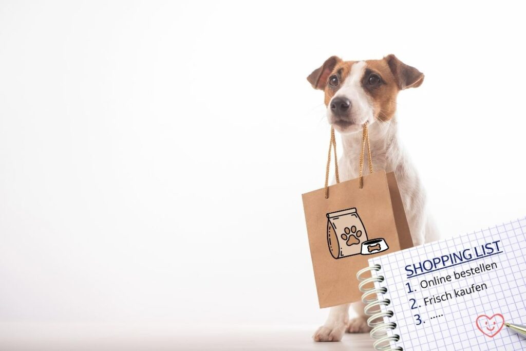 Futterumstellung beim Hund: Wie lange dauert es, wie du Durchfall vermeidest und die Futtermenge richtig berechnest