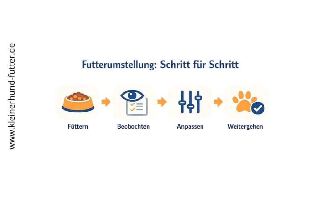 Futterumstellung Hund