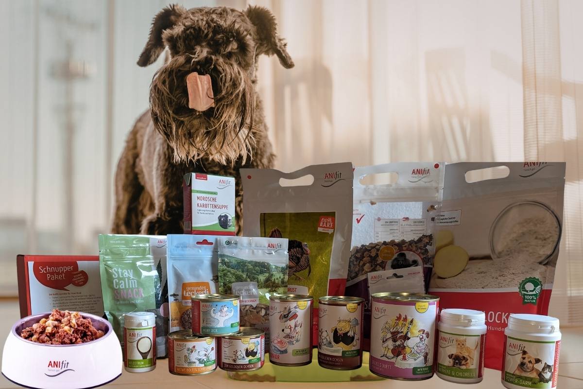 Anifit Hundefutter für kleine Hunde im test