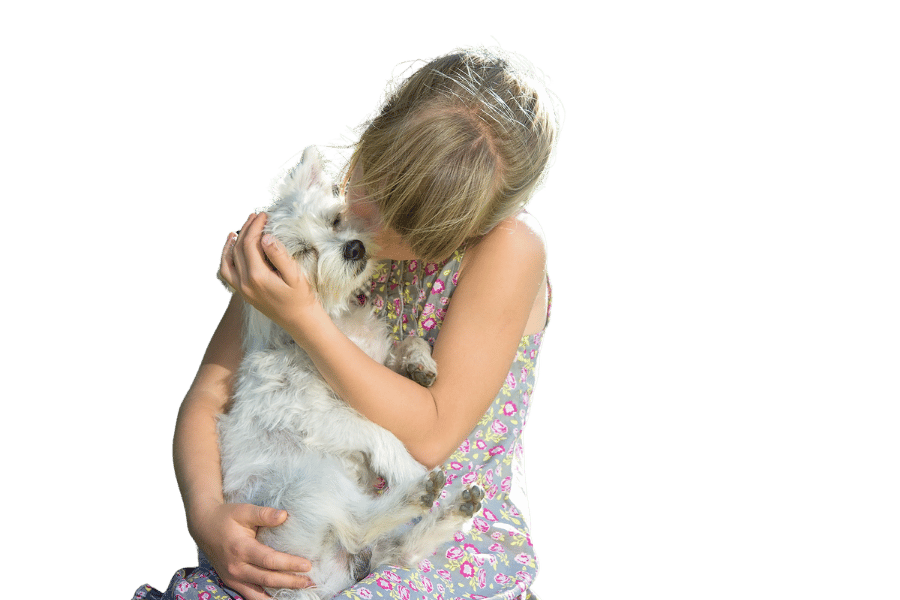 Keimrisiko Hund Mensch - Zonosen