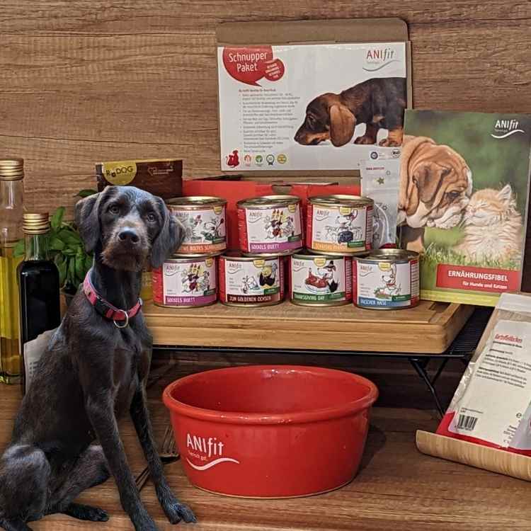 Anifit Hundefutter Erfahrungen